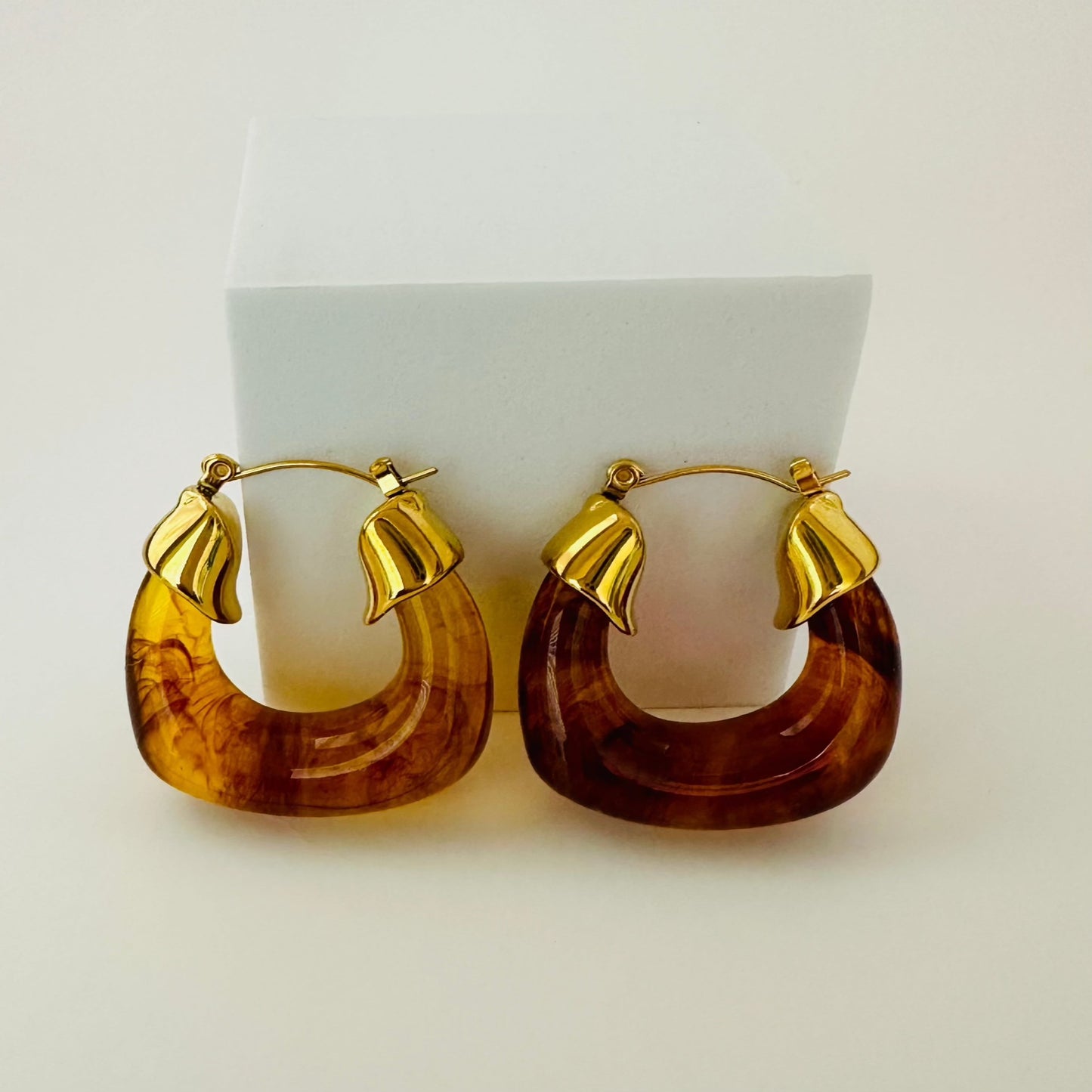 Brown hoop earrings Stainless Steel
18K gold plated
0.74 oz